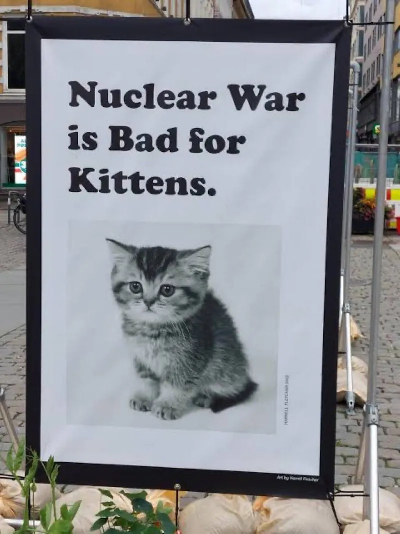 Nuclear war is bad for kittens